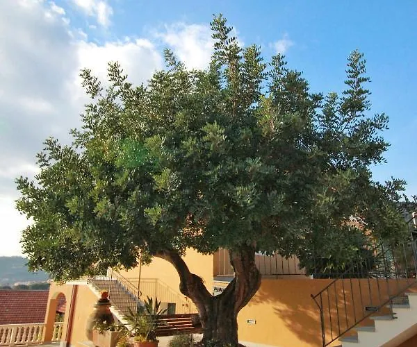A Carubba Du Bungiurnu Borgio Verezzi