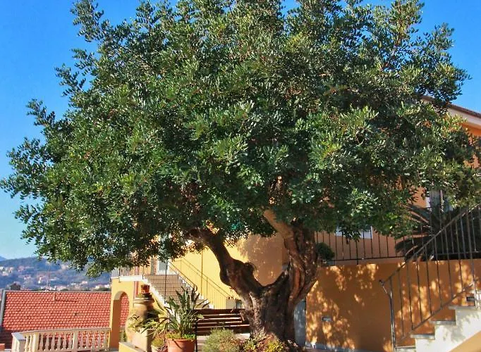 Séjour à la ferme A Carubba Du Bungiurnu *