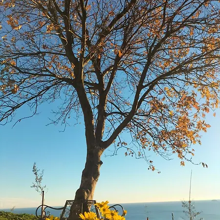 农家乐 A Carubba Du Bungiurnu 博尔焦韦雷齐